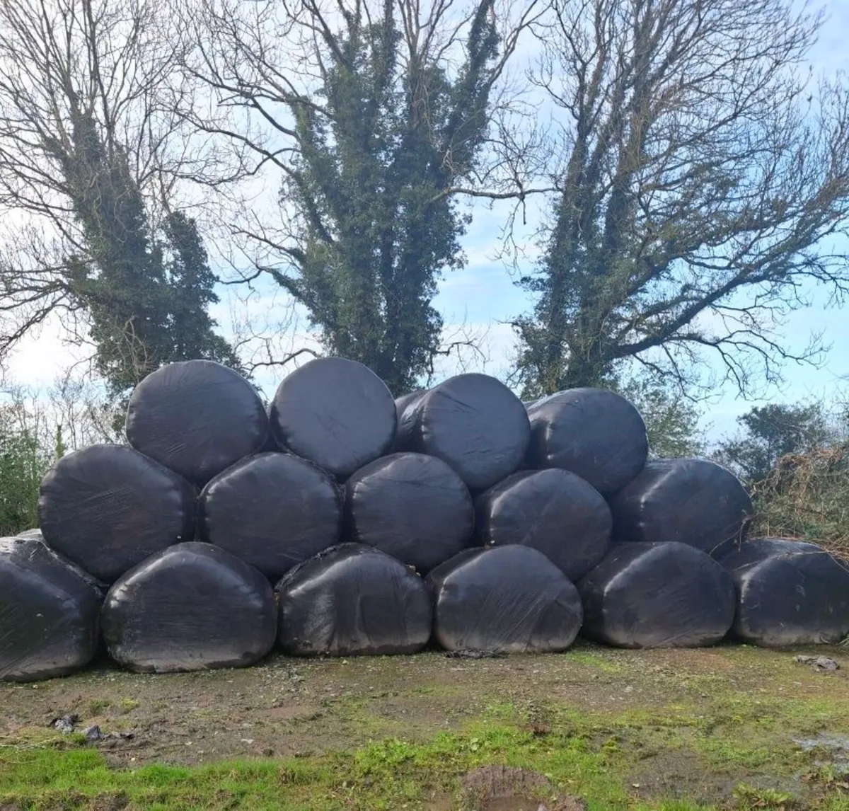 Silage Bales
