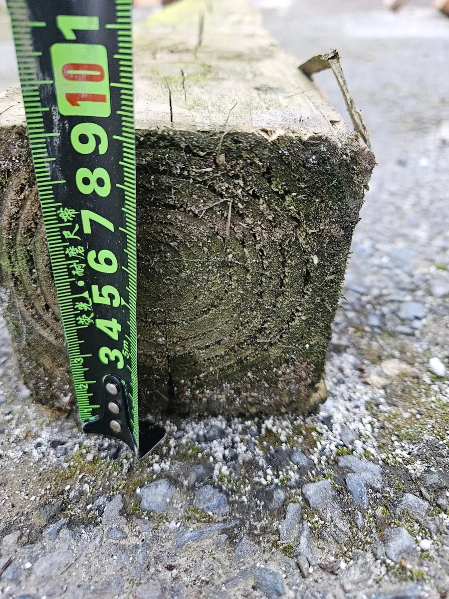 Timber wood - Image 2