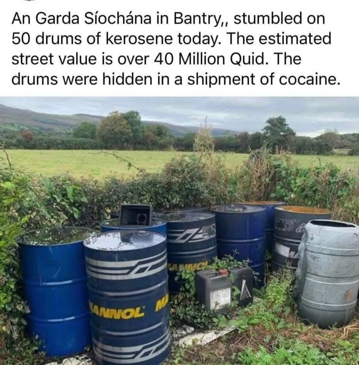 First cut silage - Image 3