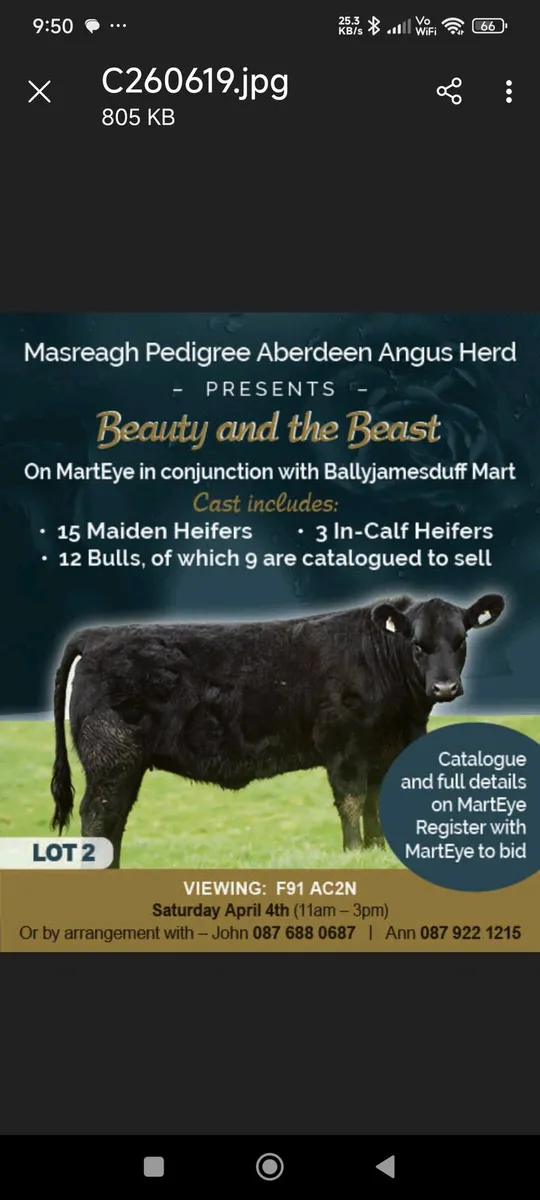 Sale on Mart Eye April 3rd to 6th - Image 1