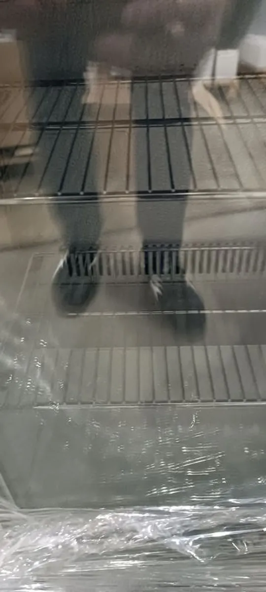 Glass Froster Weili SD-138F Freezer - Image 2