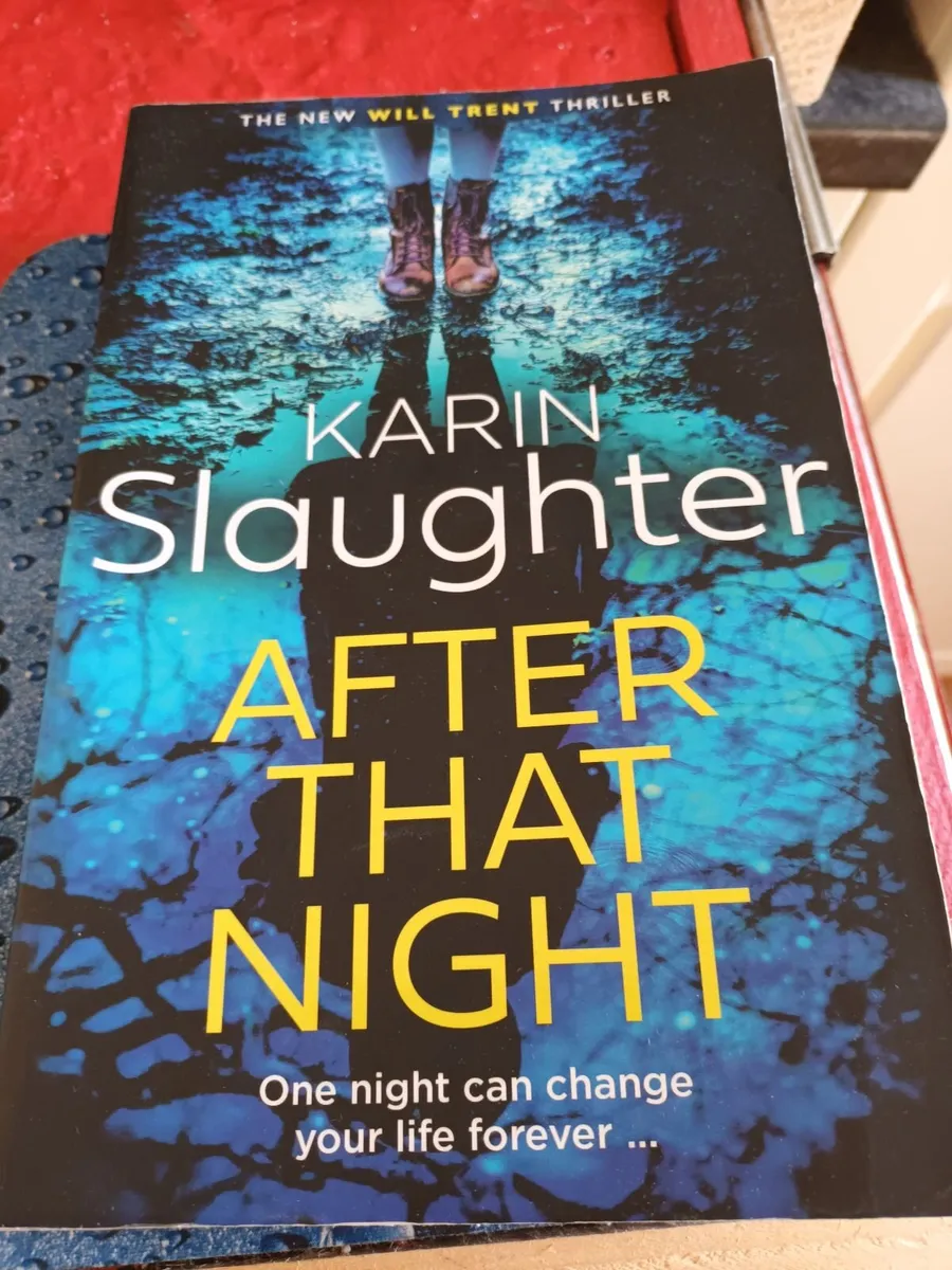 4 books by Karin Slaughter - Image 1