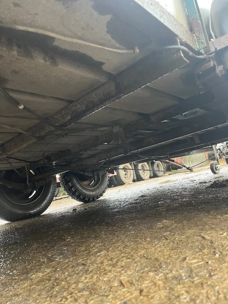 12x6 cattle / sheep - Image 3