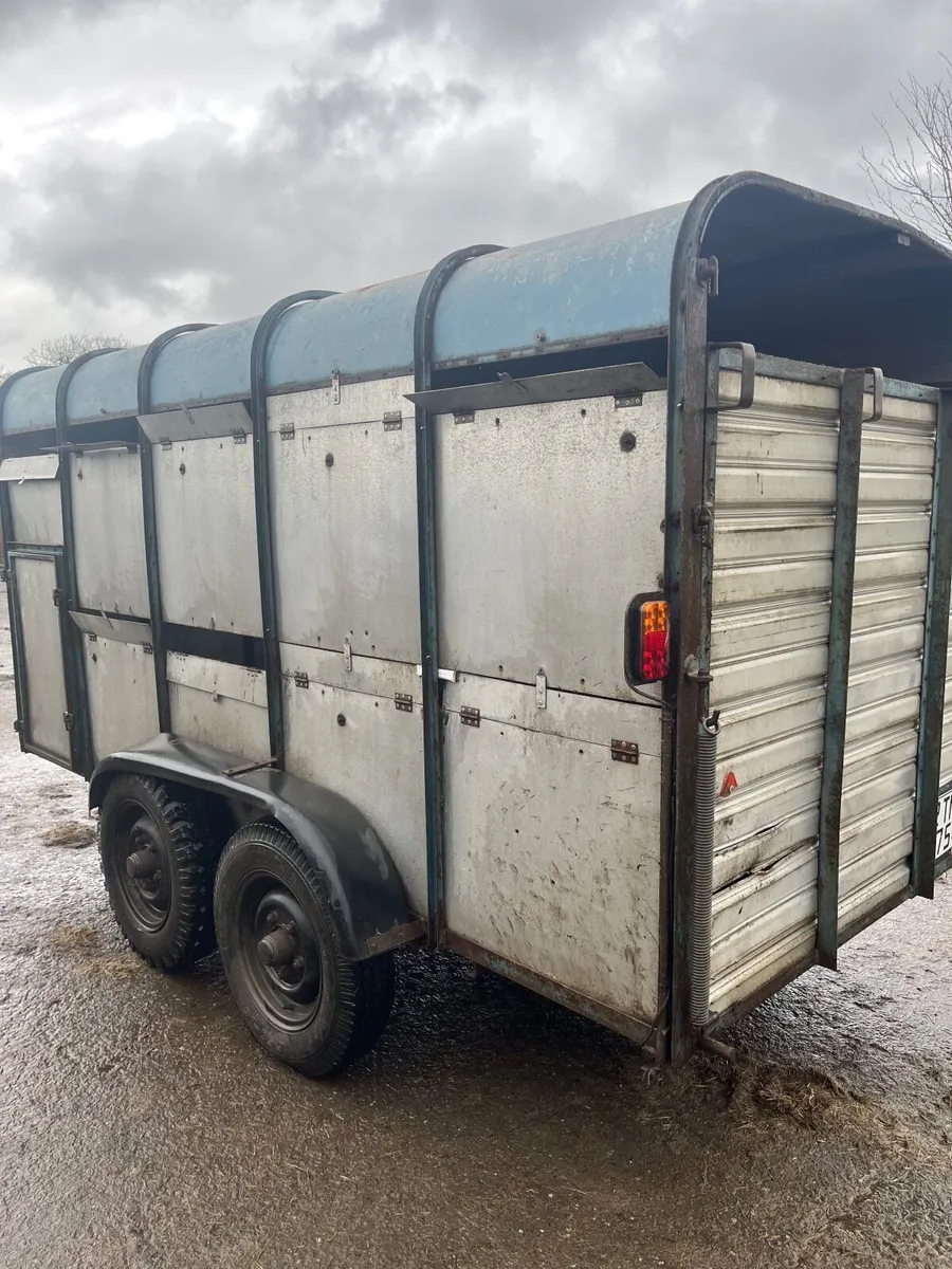 12x6 cattle / sheep - Image 1