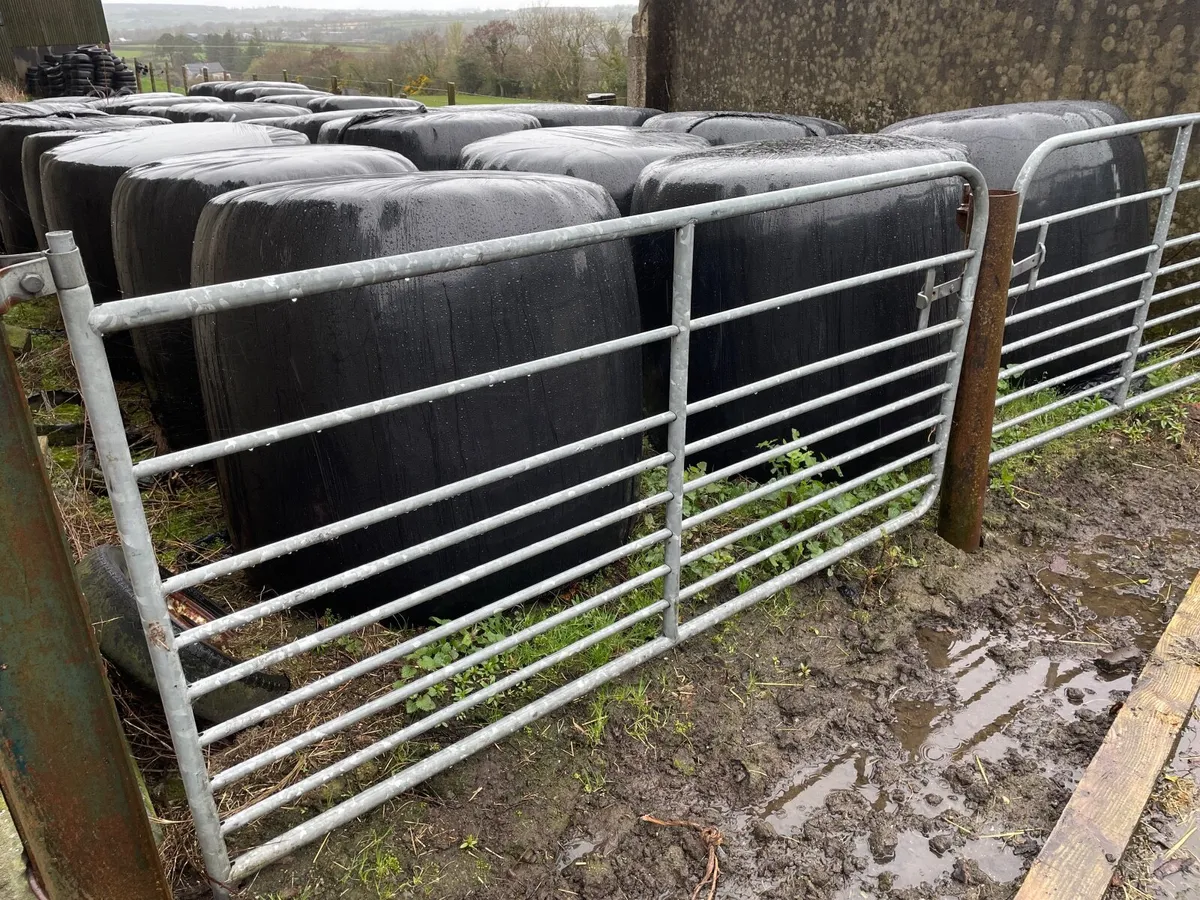 Round bales of silage - Image 2