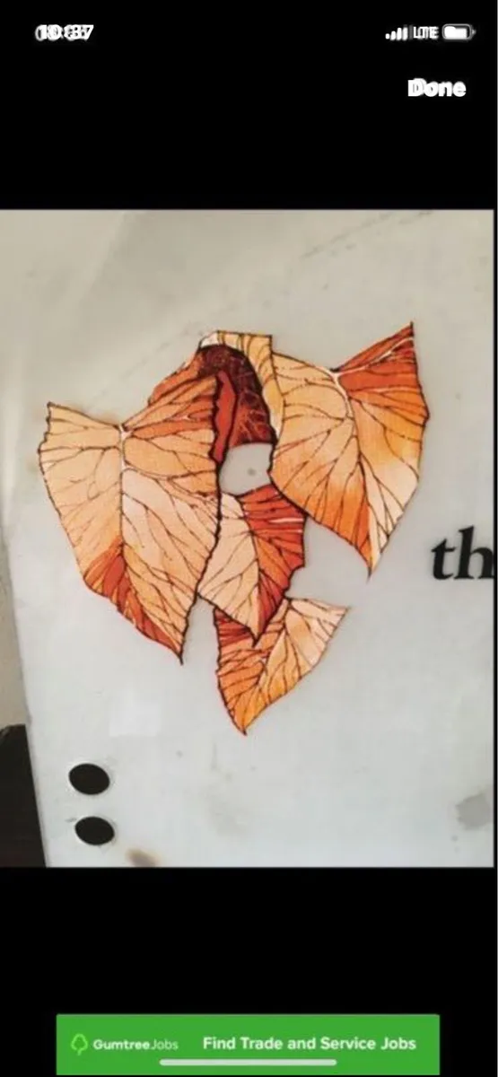 Tabasco sign - Image 2