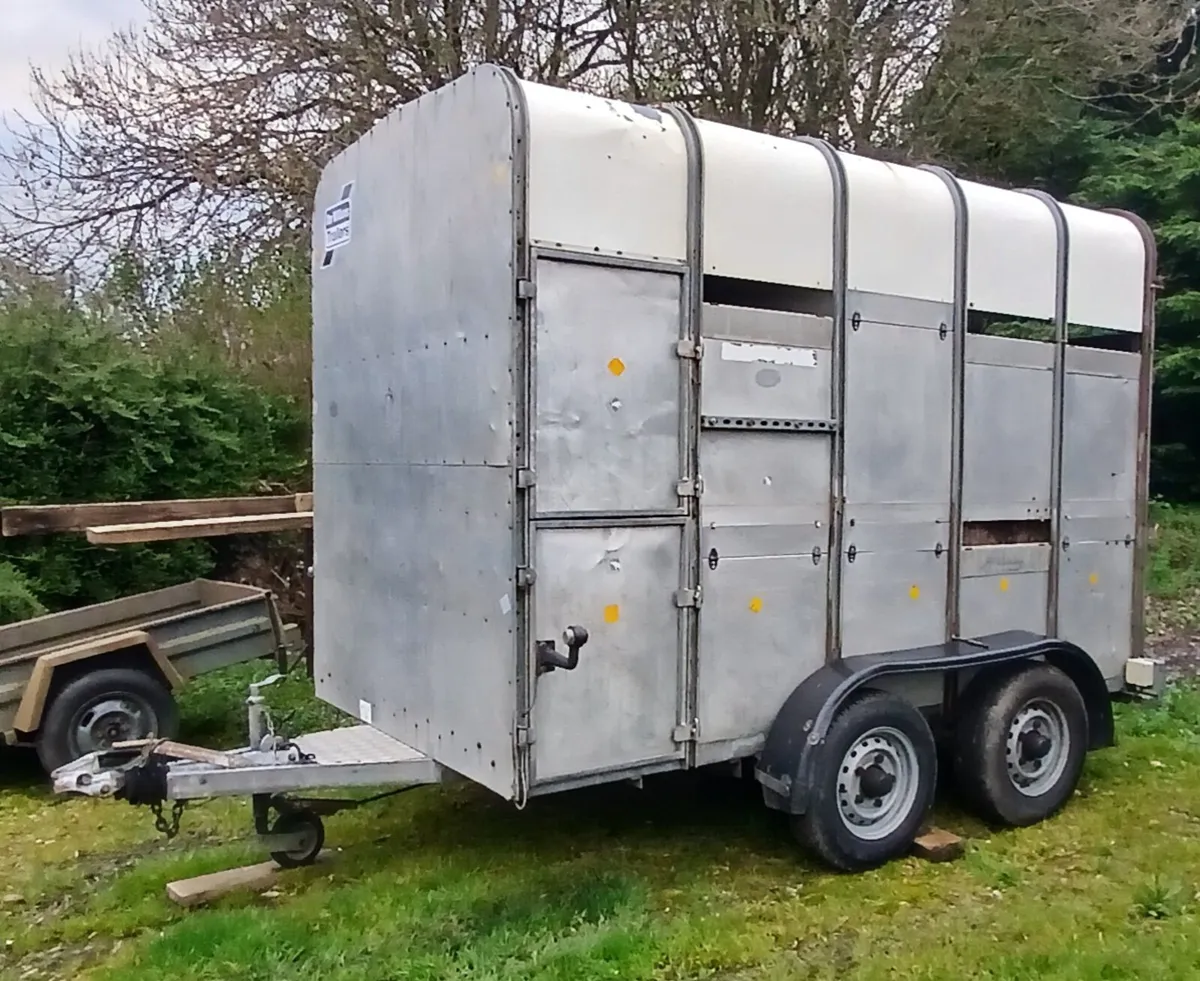 Cattle trailer - Image 3
