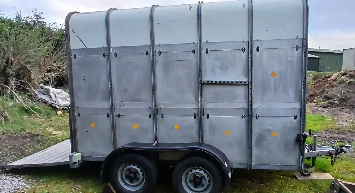 Cattle trailer - Image 4