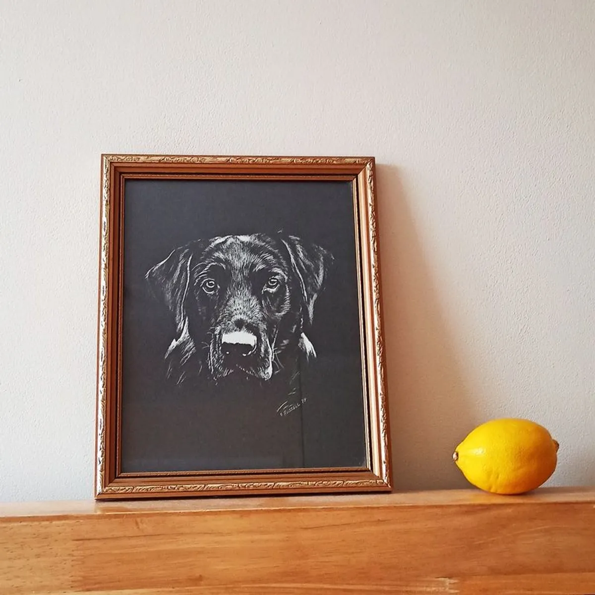 Black Labrador Retriever  R. Russell dog art print in a wooden gold glazed frame 1979 size 23x28cm - Image 1