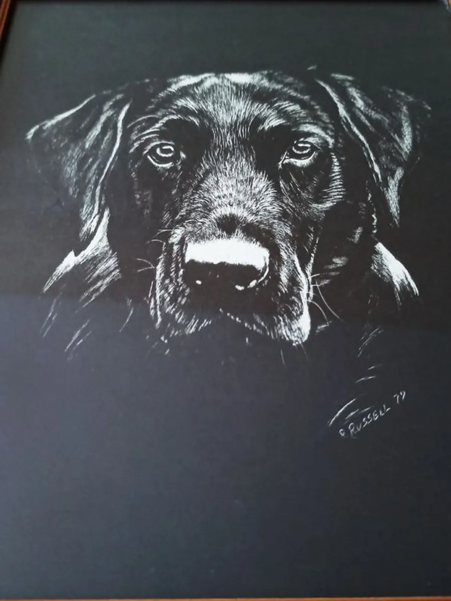 Black Labrador Retriever  R. Russell dog art print in a wooden gold glazed frame 1979 size 23x28cm - Image 2