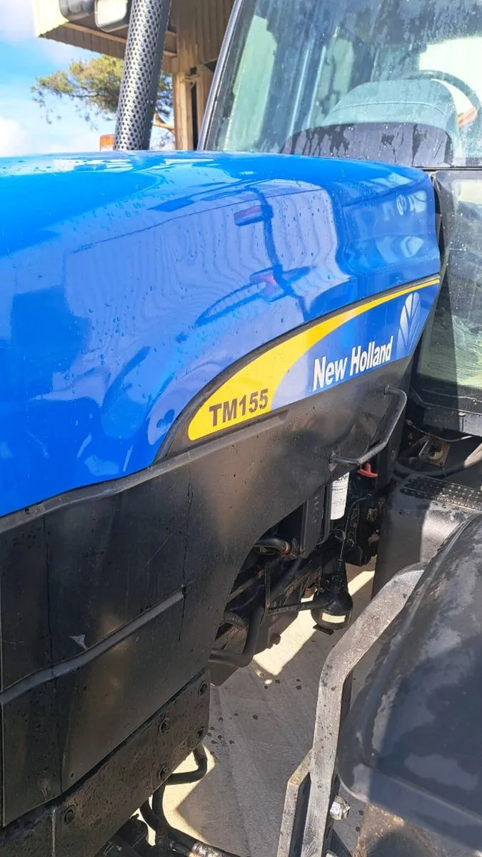 Tm155 (2007) - Image 3