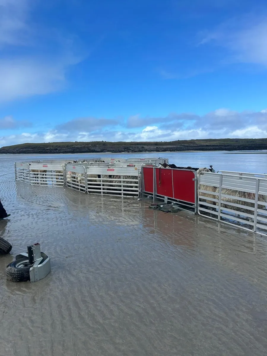 Portayards Ireland - Image 2