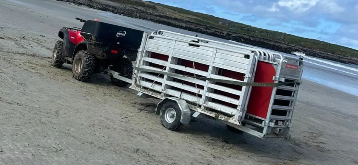 Portayards Ireland - Image 3