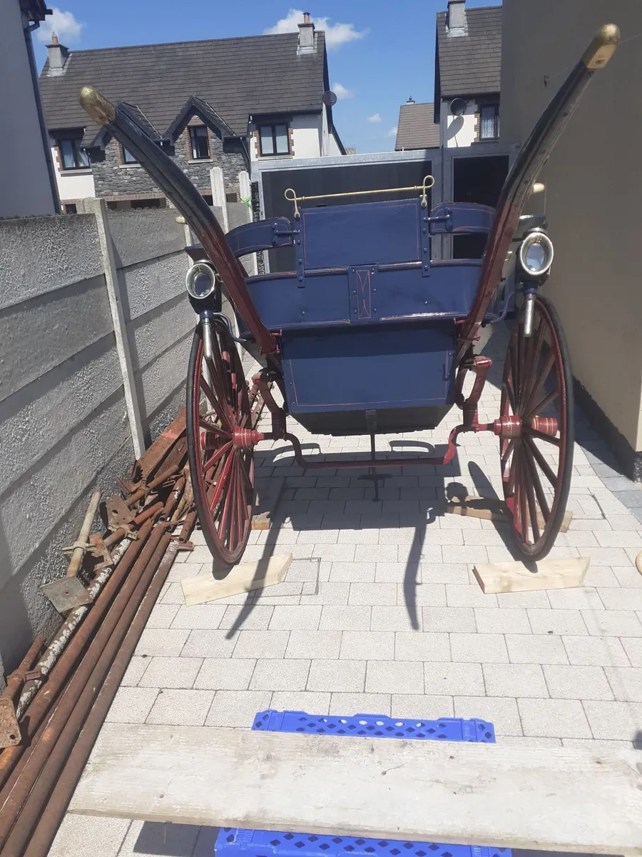 Pony's Trap - Image 2