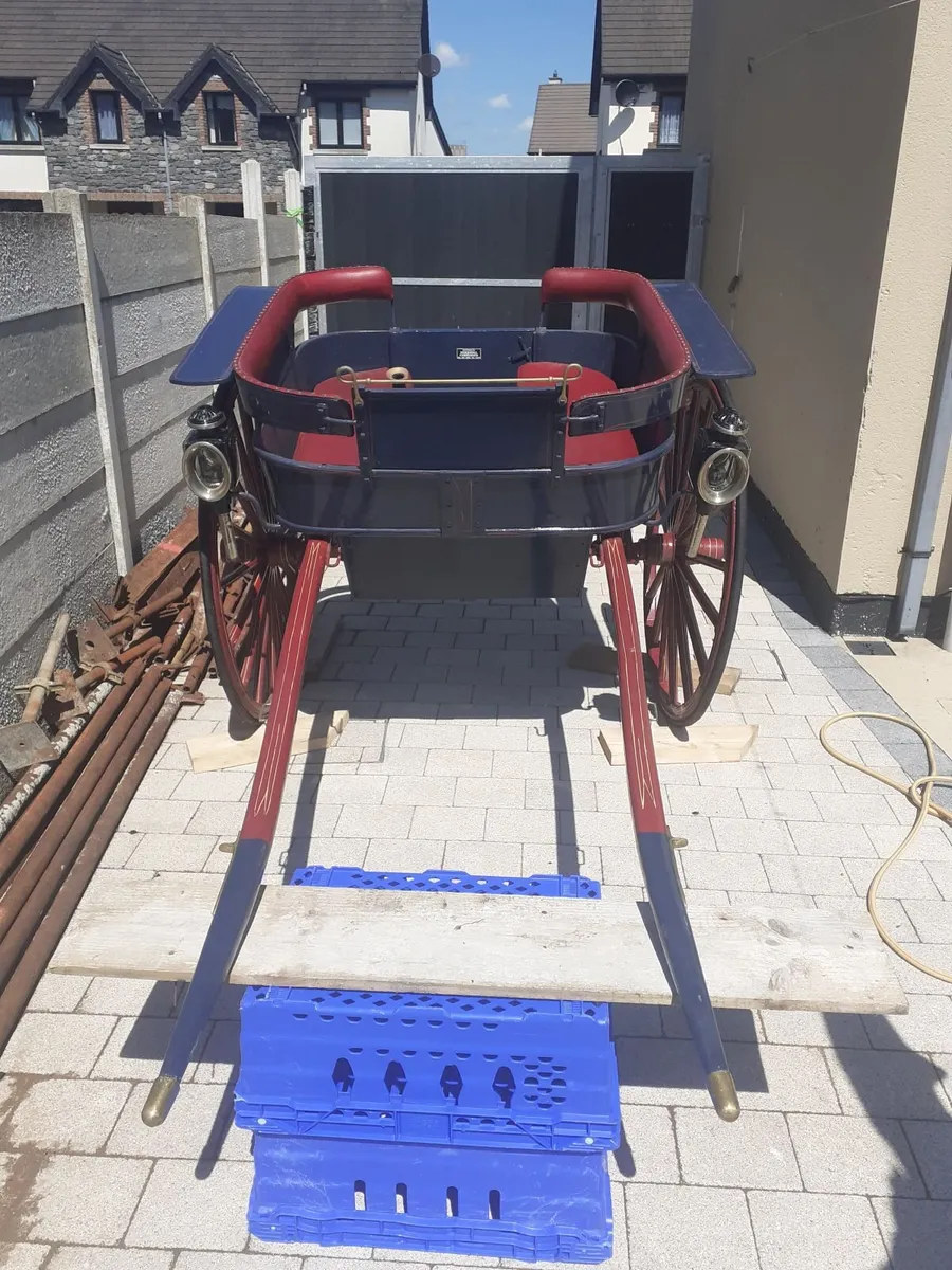 Pony's Trap - Image 3