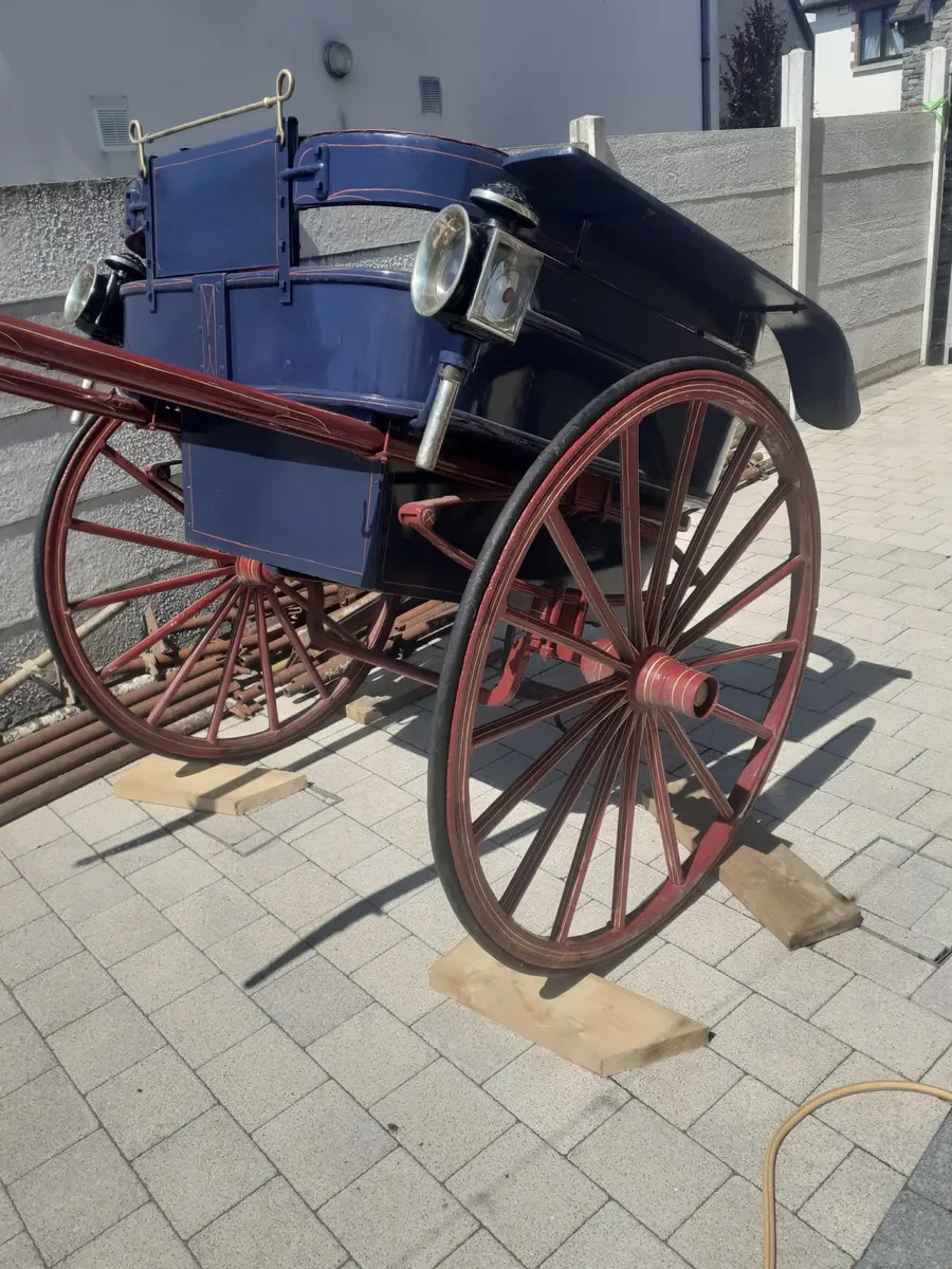 Pony's Trap - Image 1