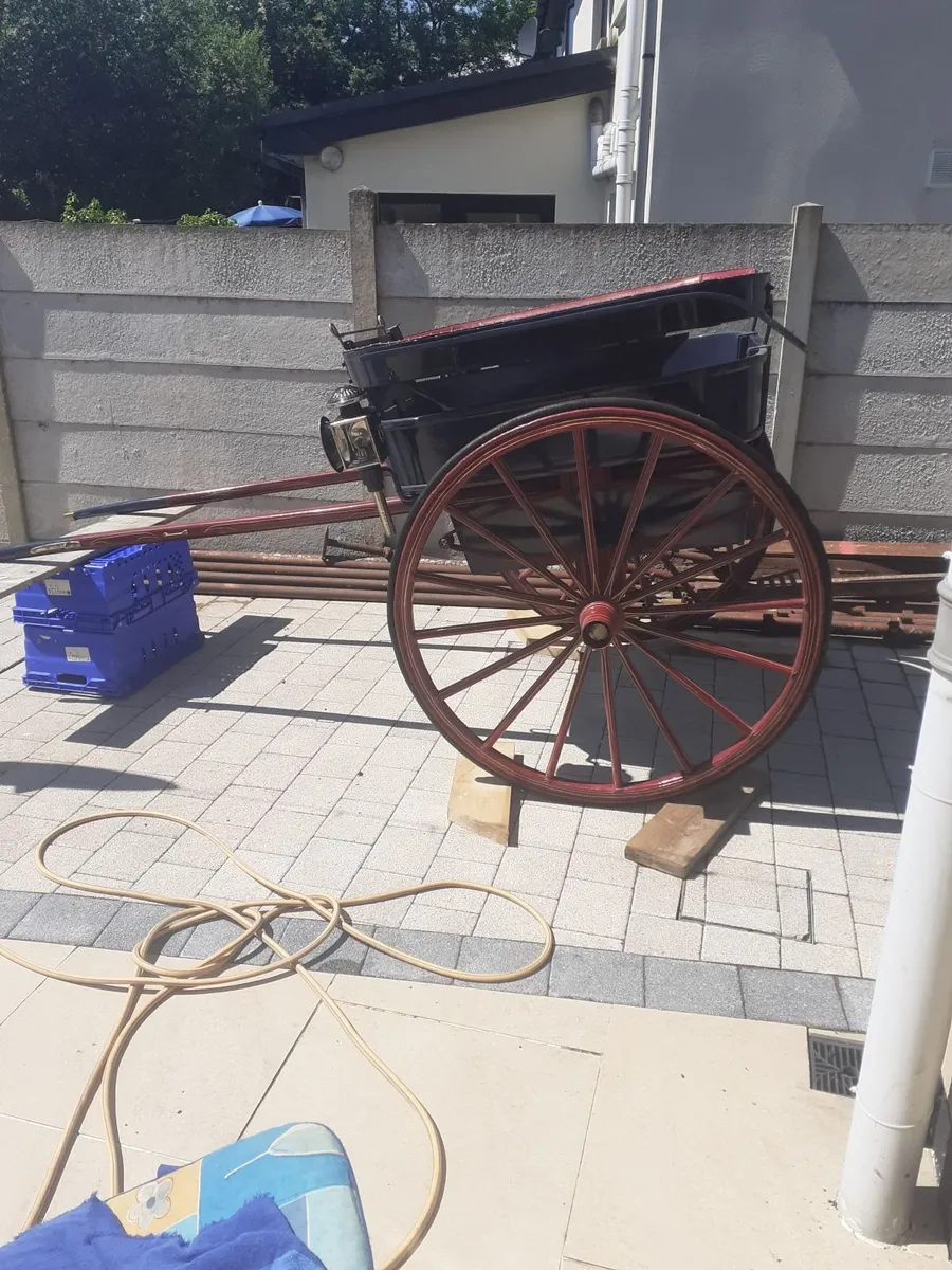 Pony's Trap - Image 4