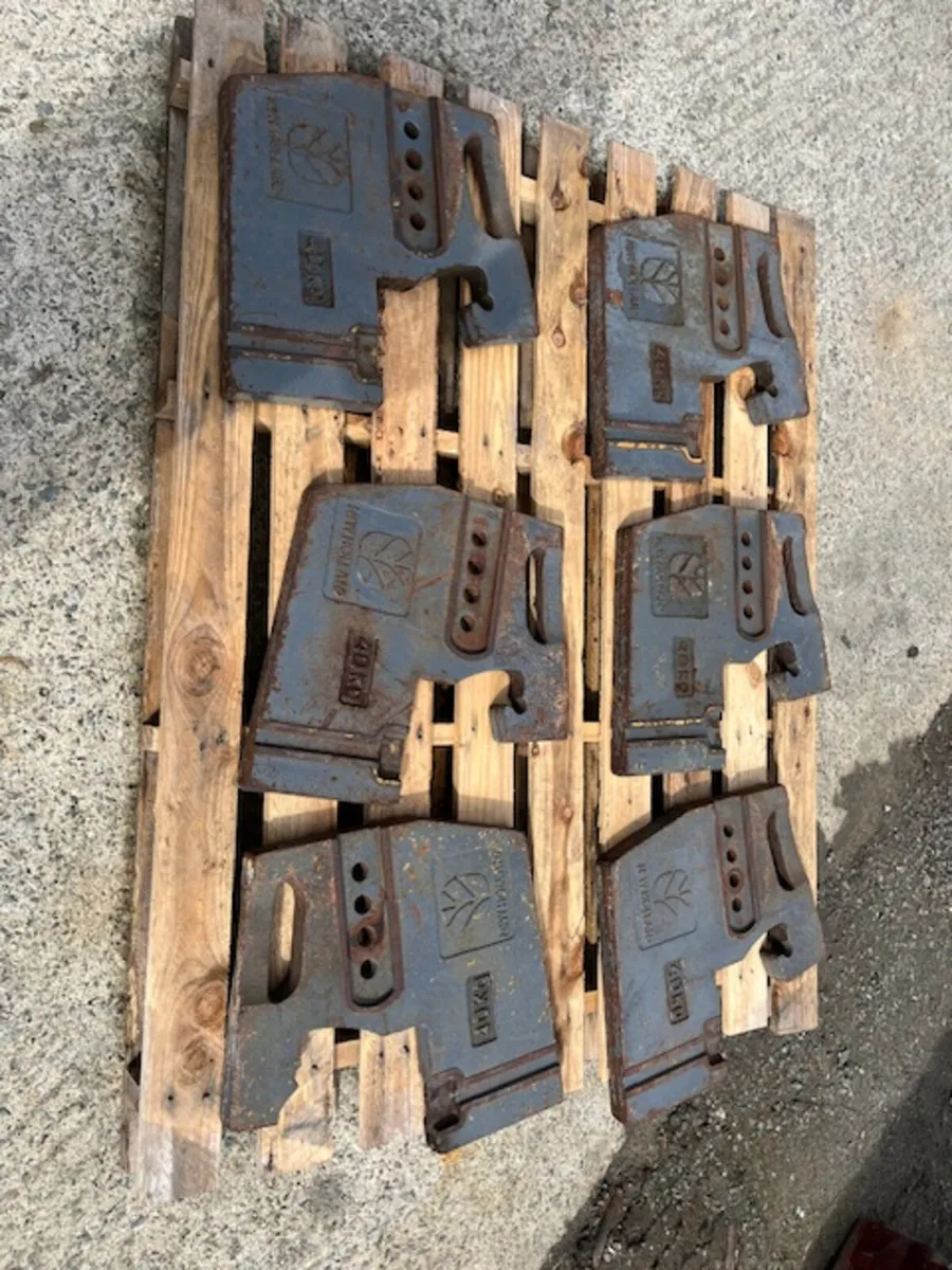 6 x New Holland 40kg Weights - Image 1