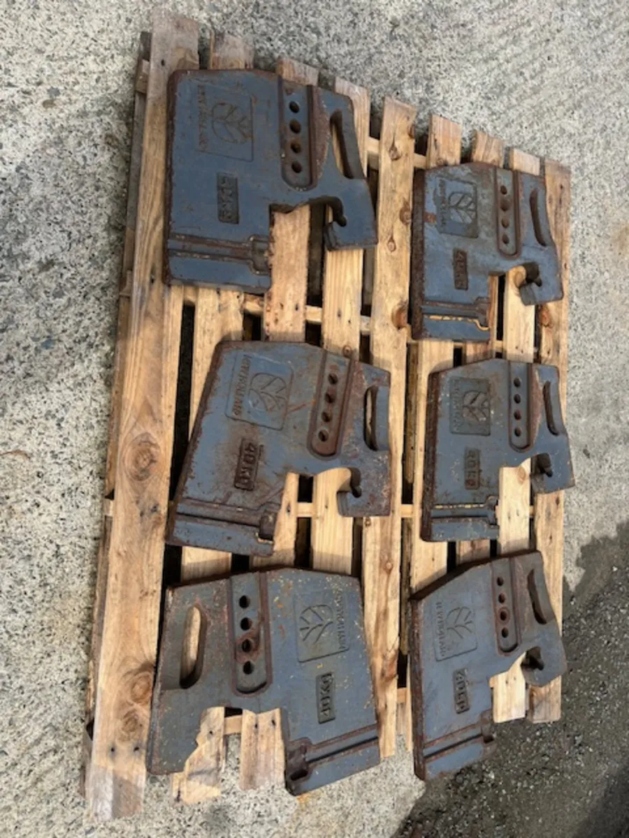 6 x New Holland 40kg Weights - Image 2