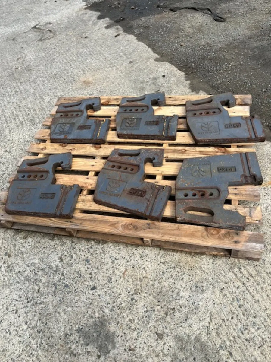 6 x New Holland 40kg Weights - Image 3