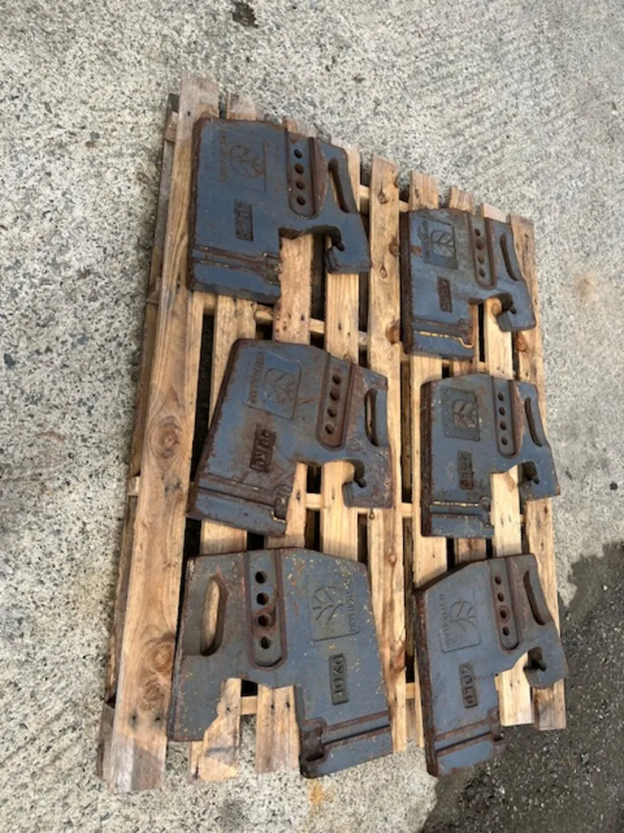 6 x New Holland 40kg Weights - Image 4