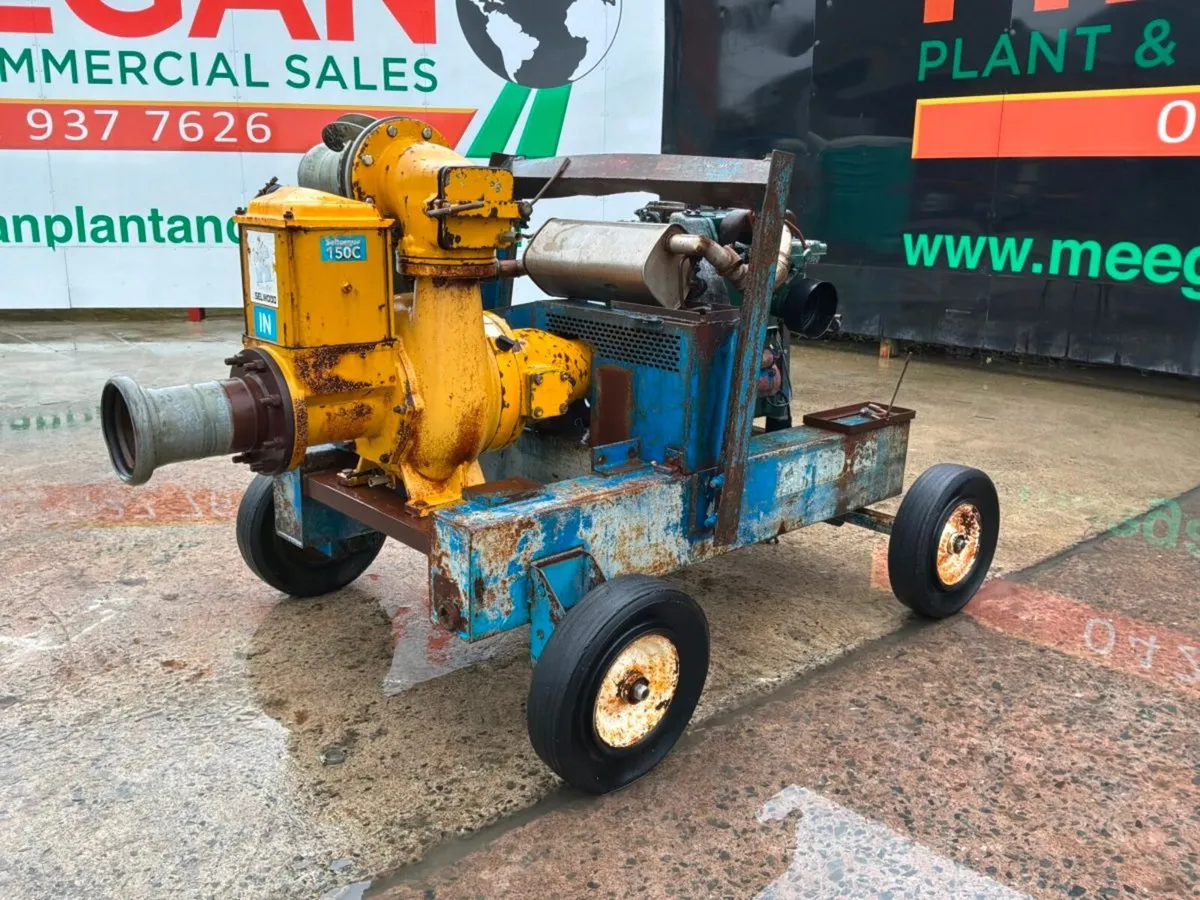 SELWOOD WATER PUMP - Image 2