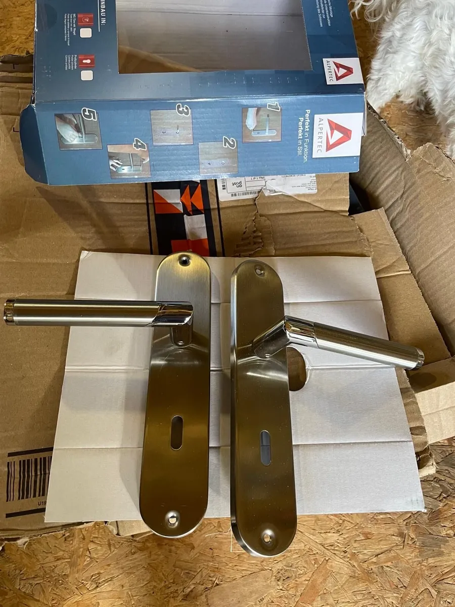 Chrome Door Handles - Image 1
