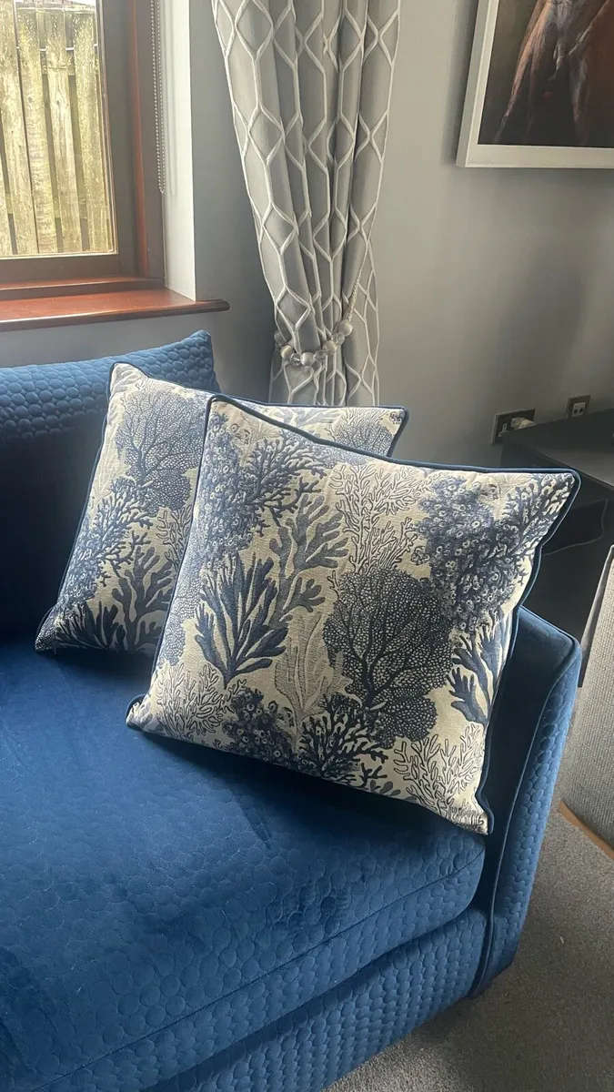 2 large Velvet Cushions - Image 4