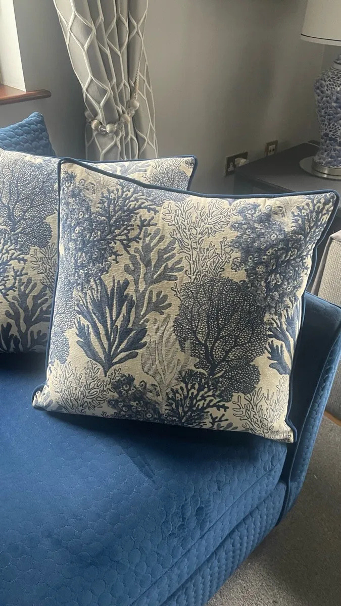 2 large Velvet Cushions - Image 1