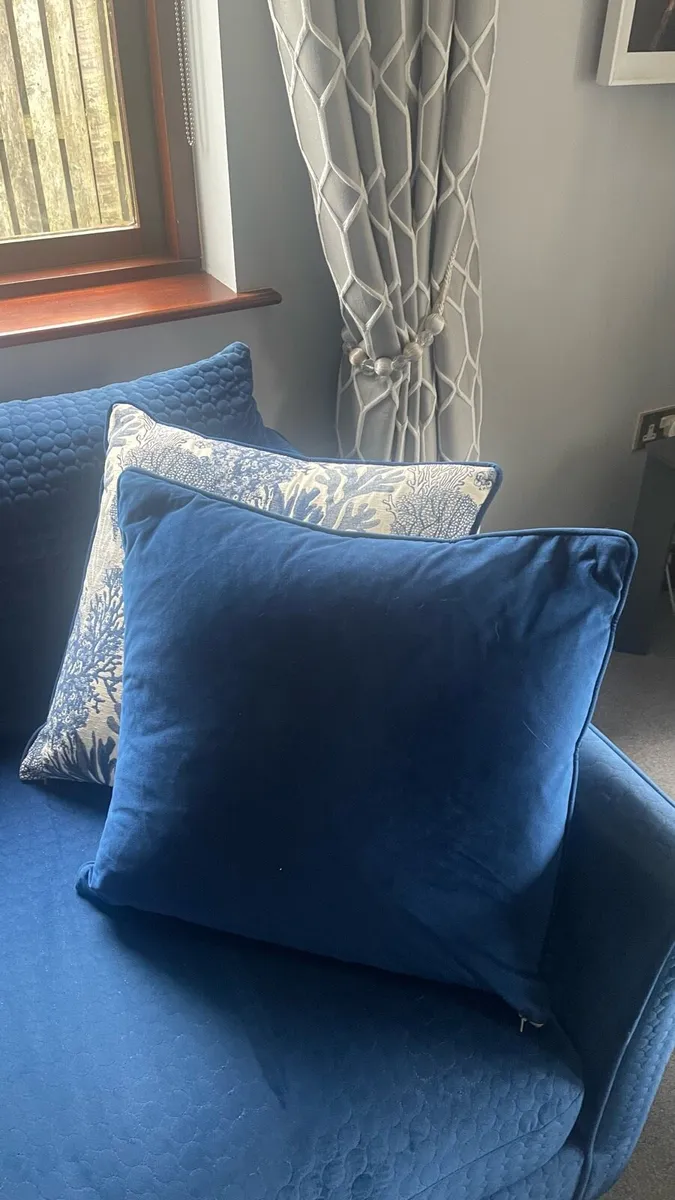 2 large Velvet Cushions - Image 2