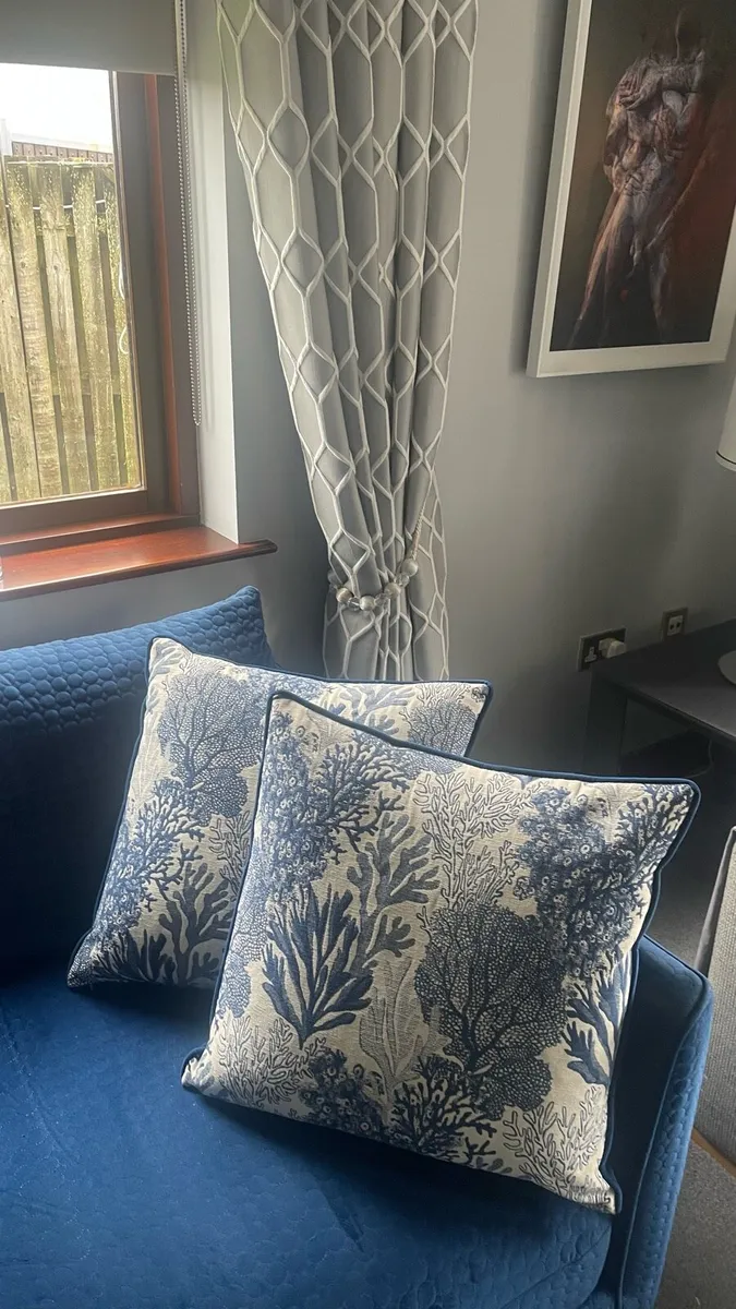 2 large Velvet Cushions - Image 3