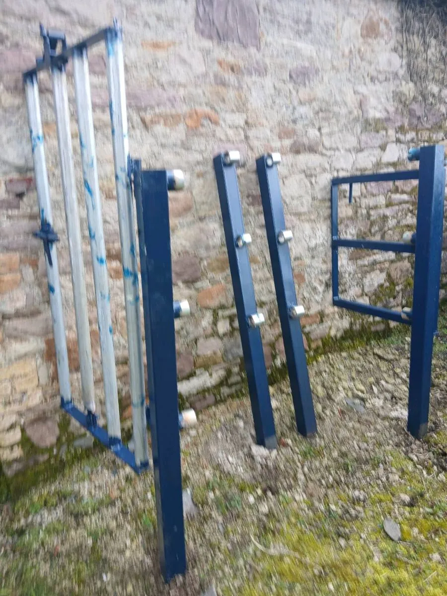 Cattle crush - Image 2