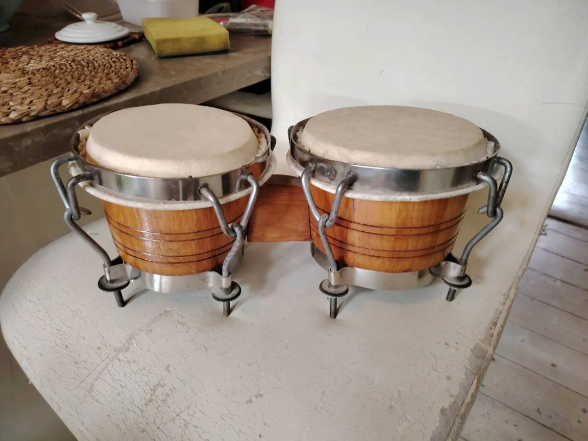 Bongo drums
