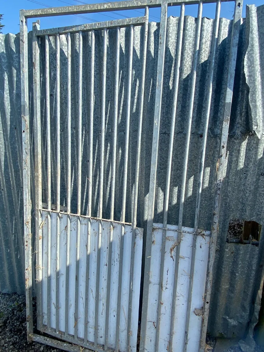 Galvanized steel gates - Image 1