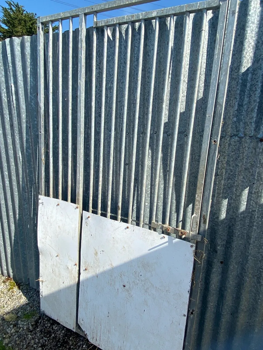 Galvanized steel gates - Image 2