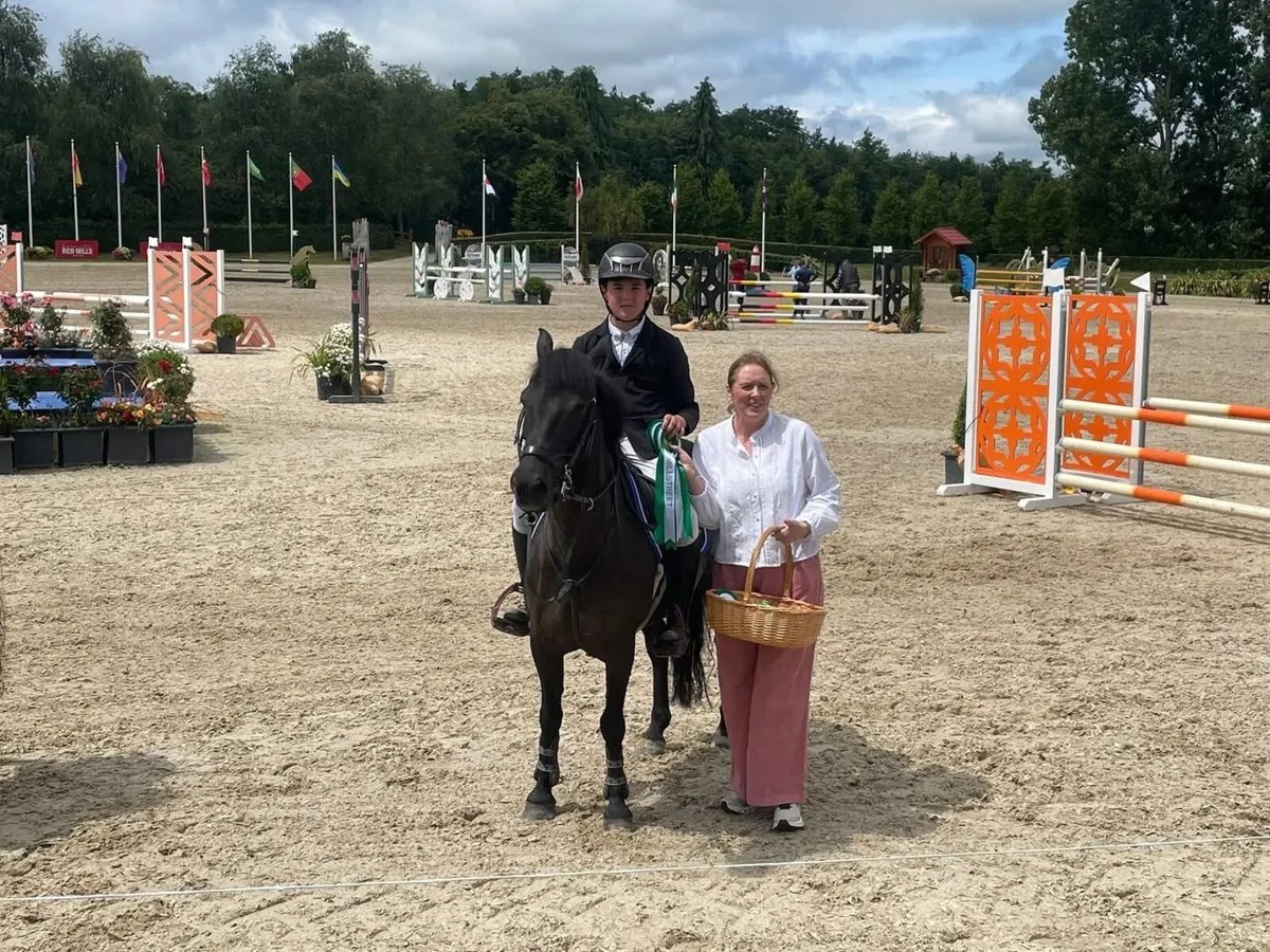 128 SJI schoolmaster / working hunter - Image 2