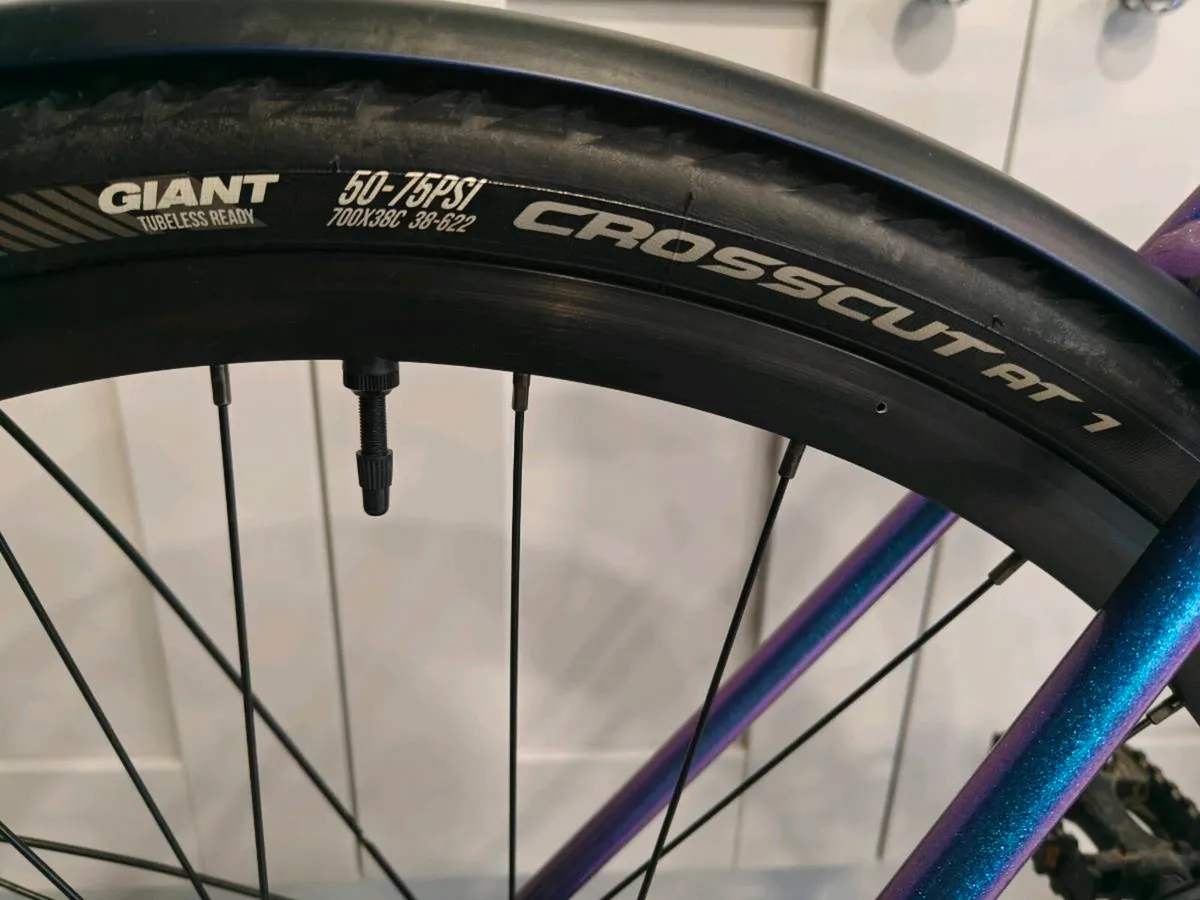 Seaboard x Giant (Gravel Bike) - Image 4