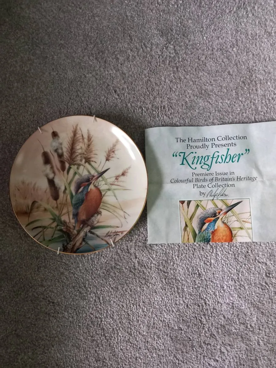 Hamilton Bird's plate collection - Image 1