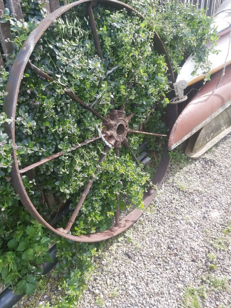 Vintage cart wheels X3 - Image 4
