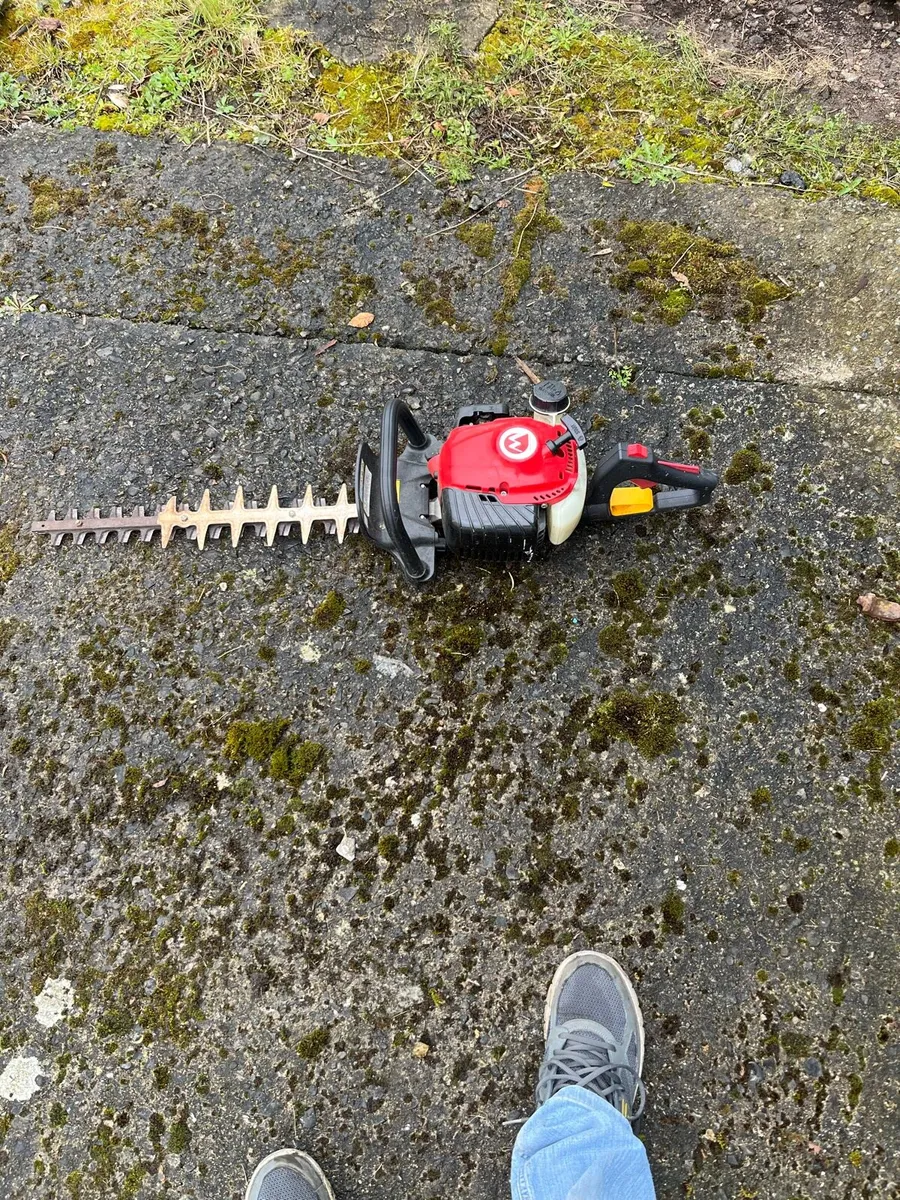 Hedge trimmers - Image 1