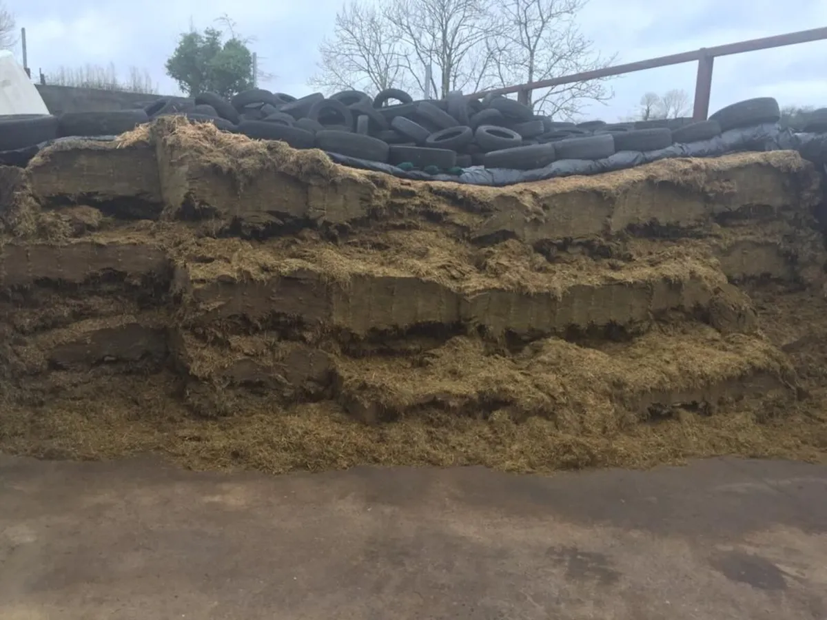 silage/hay - Image 1