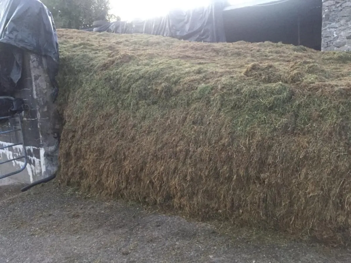 silage/hay - Image 2