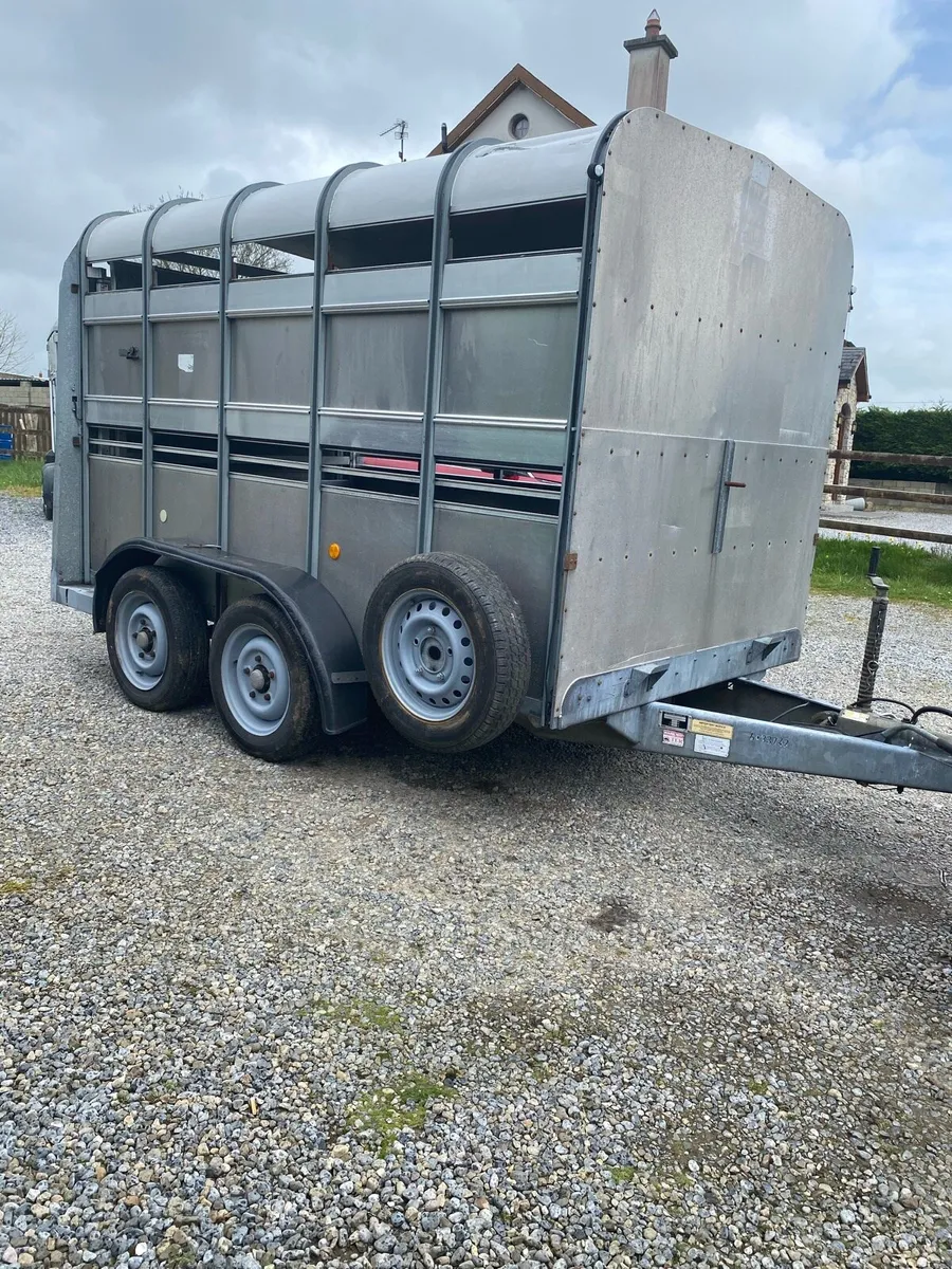 Iforwillams livestock trailer 10x5”10 - Image 1