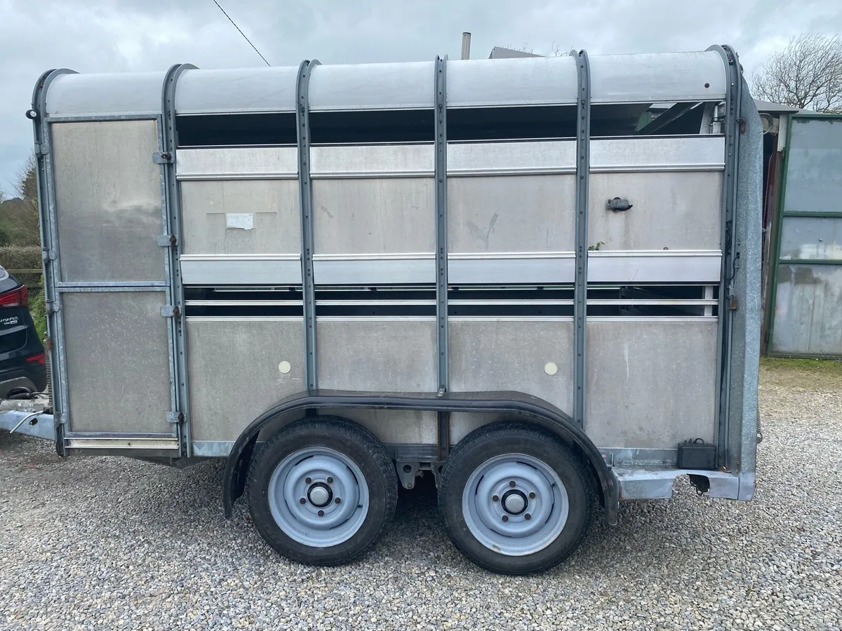Iforwillams livestock trailer 10x5”10 - Image 3