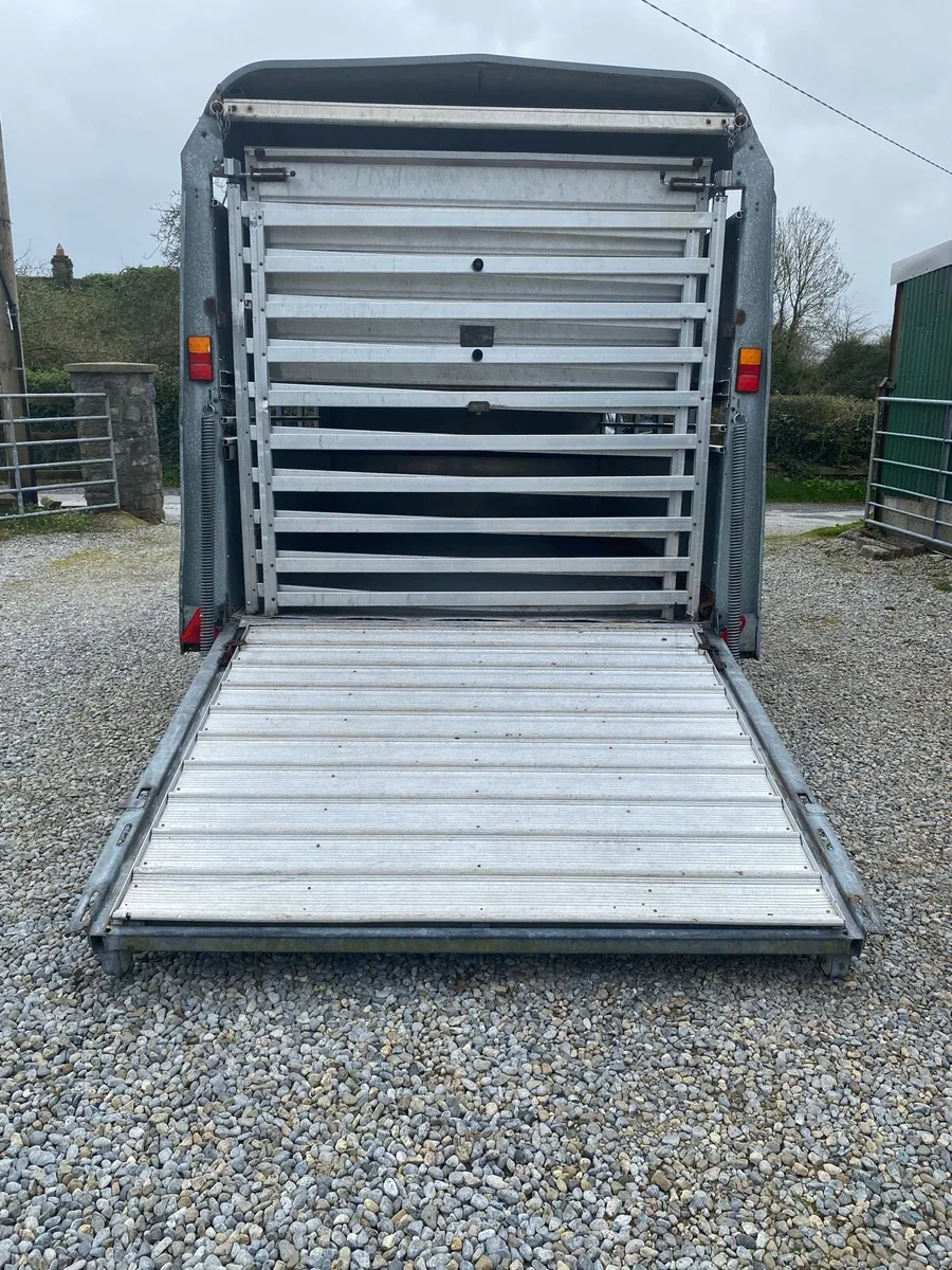 Iforwillams livestock trailer 10x5”10 - Image 4