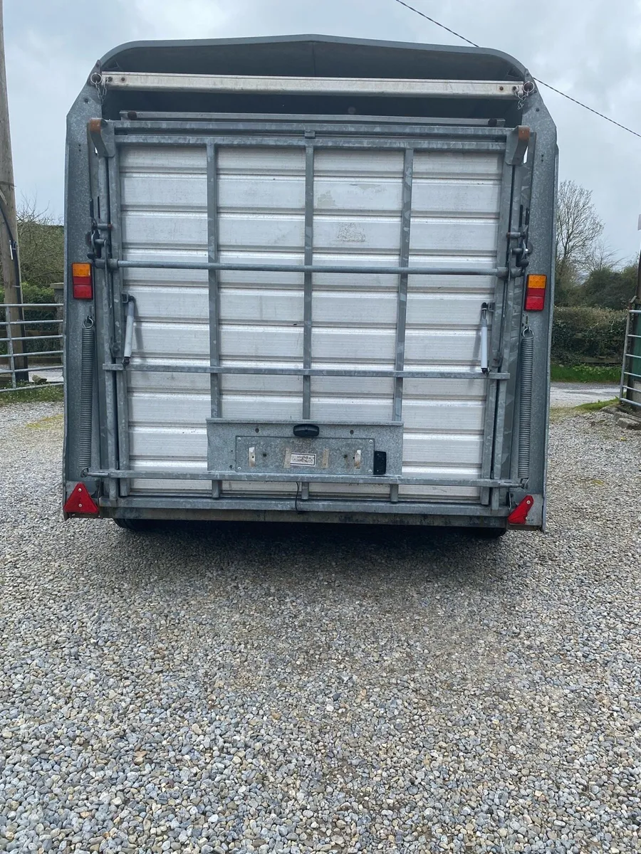 Iforwillams livestock trailer 10x5”10 - Image 2