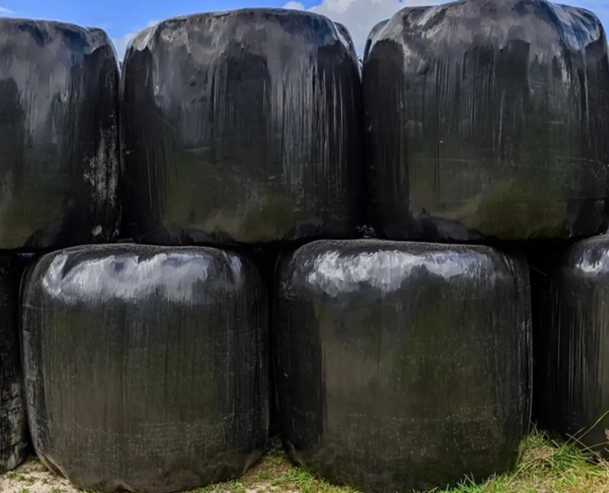 Silage bales