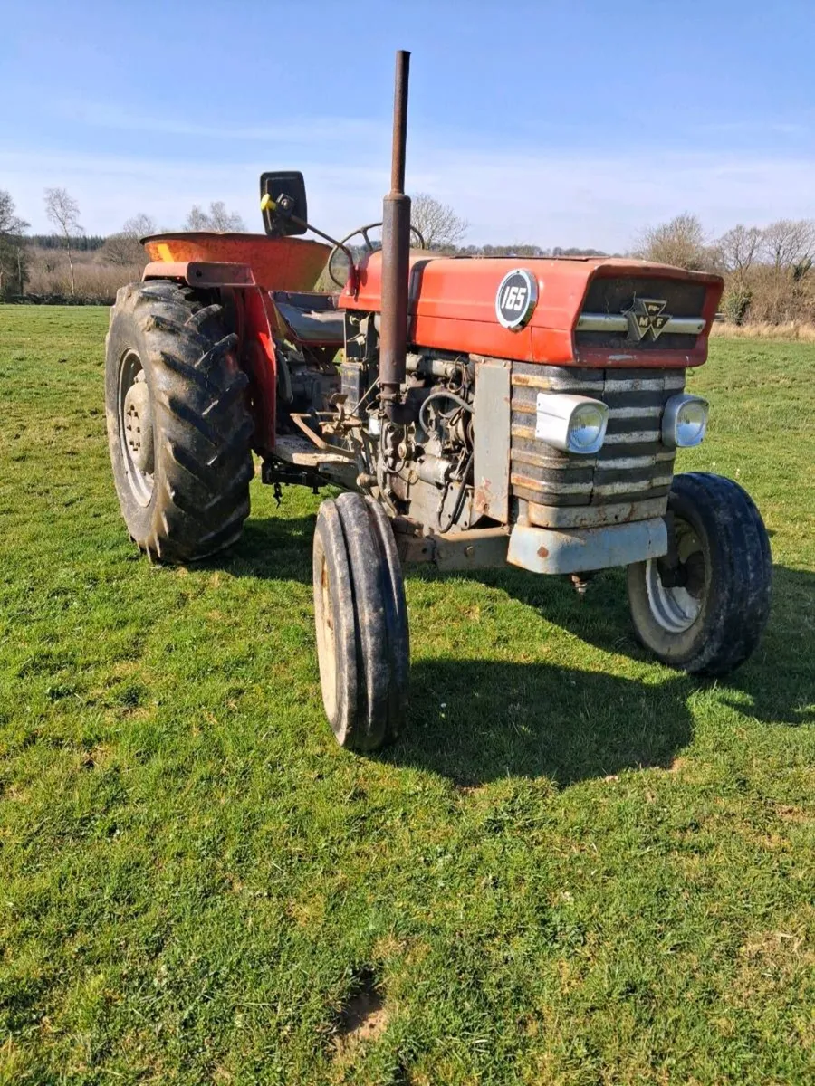 Massey 165 - Image 4