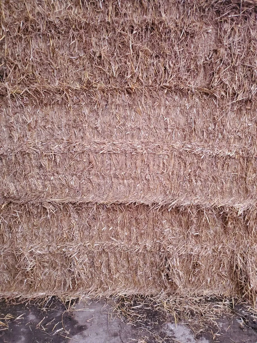 First class 8x4x3 wheat straw - Image 1