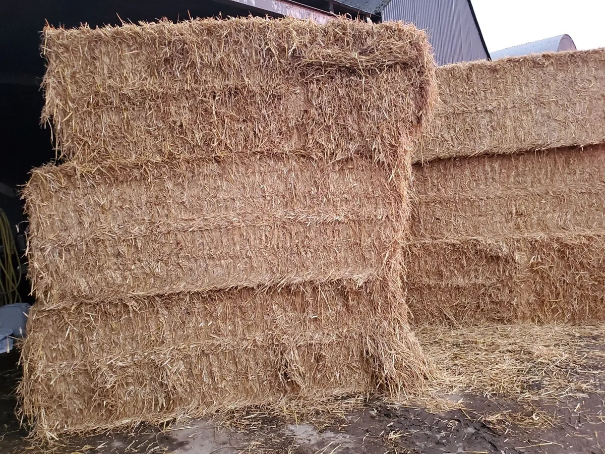 First class 8x4x3 wheat straw - Image 2